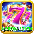 aaron finch Premium v4.8.8