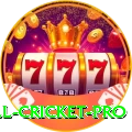all cricket Casino Official v1.3.4