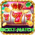 bangladesh cricket match Pro Edition v4.5.2