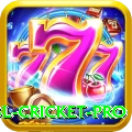 bbl cricket - Slots Champion
