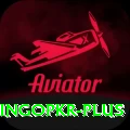 bingopkr Plus Pro v2.0.4