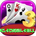 chhusang fossil hill Gold Pro v5.2.2