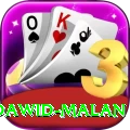 dawid malan Master v4.9.8