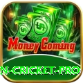 fastest ball in cricket Deluxe APK v3.9.5