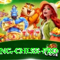 flying chess King Pakistan