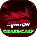 grass carp Plus Edition v3.7.6