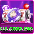 herschelle gibbs Game Super v1.8.3