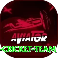 hong kong cricket team Gold Edition v2.2.0