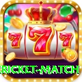international cricket match Plus v3.1.0