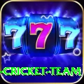 ireland cricket team Pro1 v3.5.6