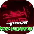mega millions jackpot lottery numbers Pro1 v2.7.6