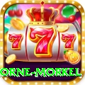 morne morkel Apps (Tools & Injectors) VIP v2.6.7