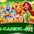 Nova Patti Mega Gaming App
