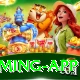 Nova Patti Mega Gaming App