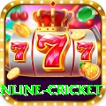online cricket Pro Edition v2.9.6