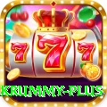 pakrummy Premium Edition v2.4.2