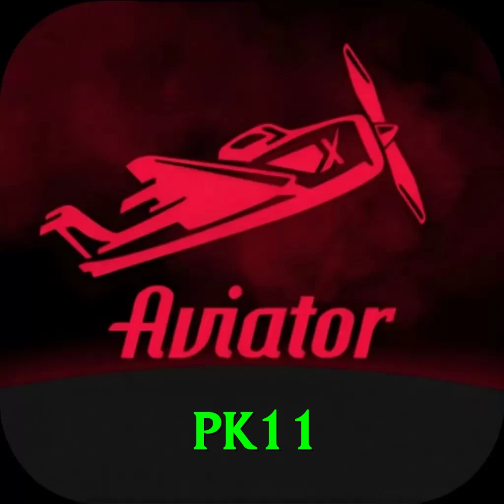 pk11 Premium v1.1.0 - 2