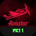 pk11 Premium v1.1.0
