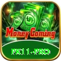 pk11 App Turbo v2.5.2