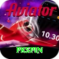 pkspin Pro Max vv5.5.1