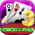 play cricket Super 2024