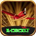 r cricket Turbo v1.8.0