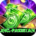 responsible gambling pakistan Master Pro v5.1.7