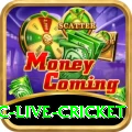 smartcric live cricket
