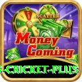 sports cricket Casino VIP v4.2.8