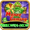 Spribewin VIP - Win Real PKR
