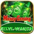 steve waugh Gold Pro v5.0.3