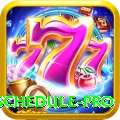 t20 match schedule Slots VIP v5.1.5