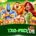 t20 Bonus Super v4.2.9