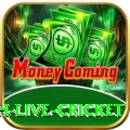 watch live cricket Plus v3.5.4