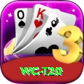 wc t20 VIP Pro v3.2.5