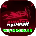 winbaobab Premium Edition v5.9.1